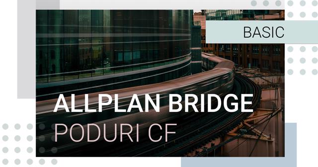 Poza produs Allplan Bridge - Modelarea parametrica a podurilor CF