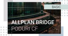 Allplan Bridge - Modelarea parametrica a podurilor CF