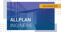 Curs online - Allplan Inginerie 2020 - Avansati
