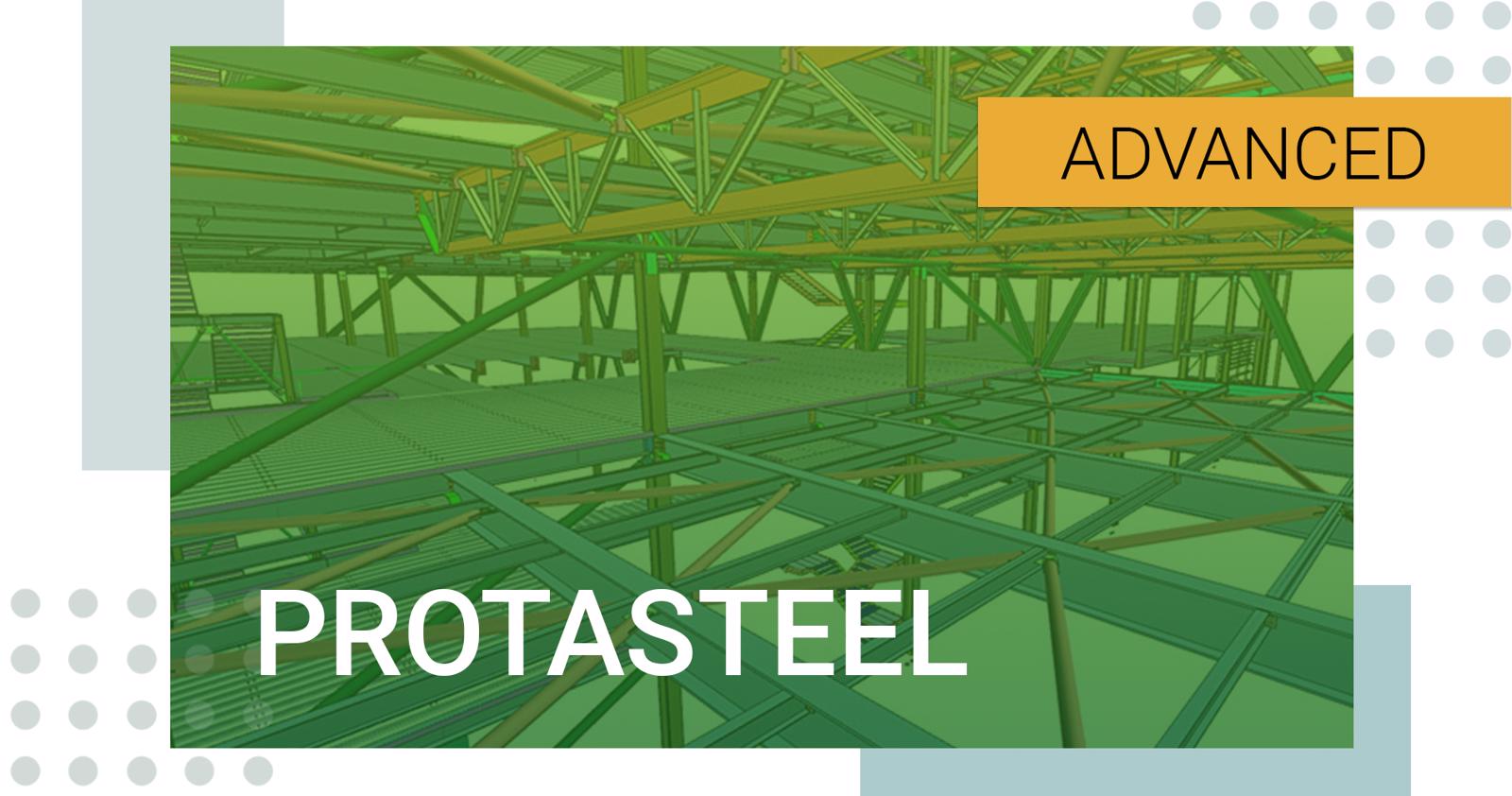 Poza produs Prota Structure/ Steel Avansat 