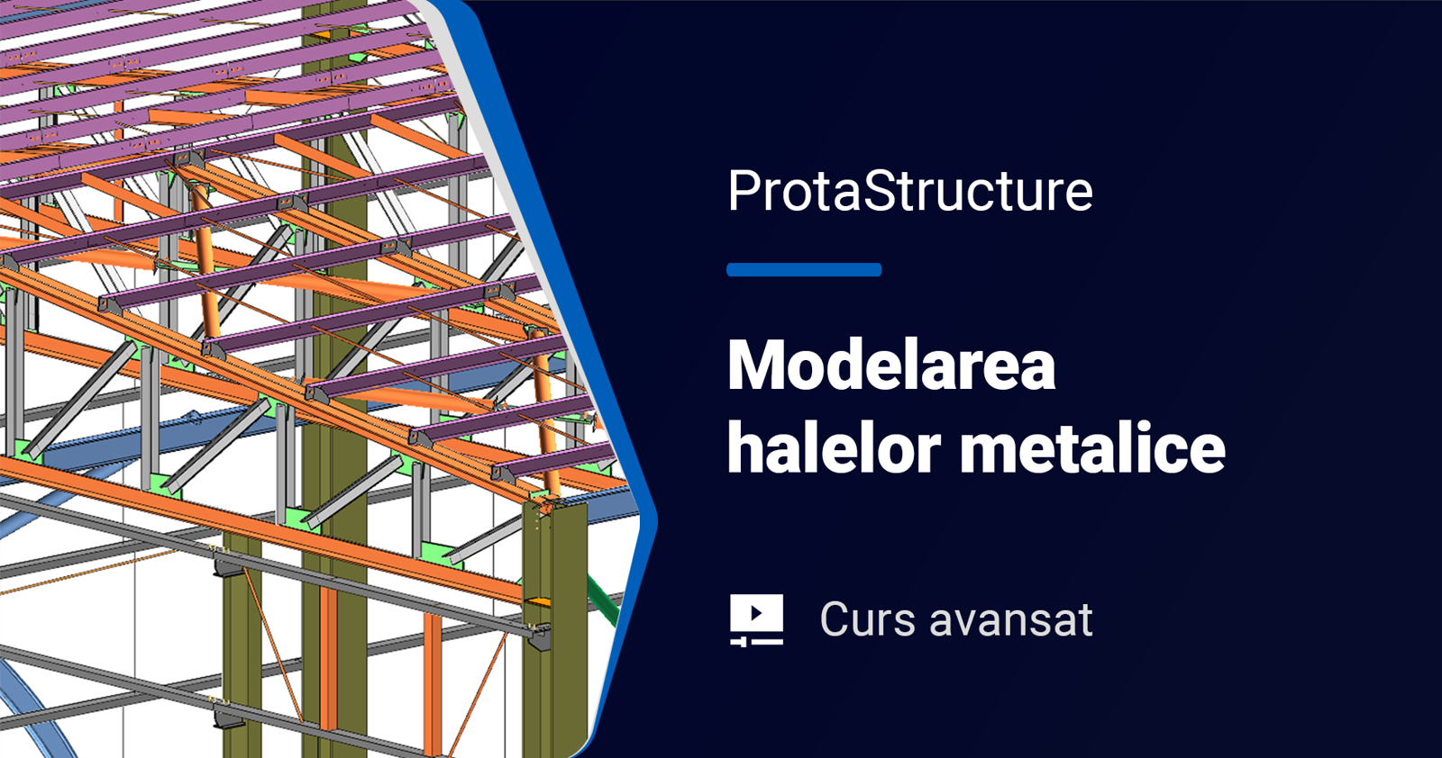 Poza produs ProtaStructure Avansat - Modelarea halelor metalice