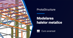 ProtaStructure Avansat - Modelarea halelor metalice